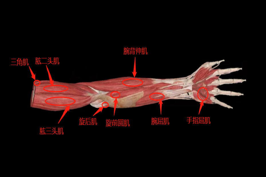 d0bb5911d70da4769aa3383df7cc5094.png|1000
