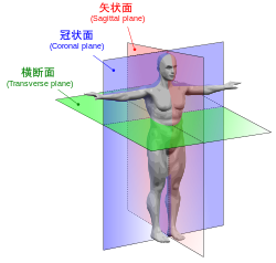 image.png|400